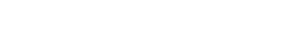 DOMIRA